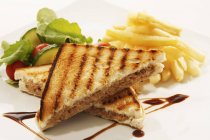 Сэндвич с тунцом и жареными чипсами — стоковое фото