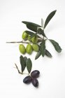 Гілочки з зеленими і чорними оливками — стокове фото