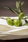 Farce d'olivier aux olives vertes — Photo de stock