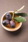 Чорні оливки в теракотовій мисці — стокове фото