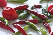 Variedade de pimentas quentes — Fotografia de Stock