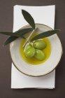Grüne Oliven auf Zweigen in Schüssel — Stockfoto