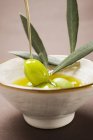 Оливкова гілочка з зеленими оливками — стокове фото