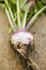 Turnip with stalks and soil — Stock Photo