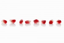 Row of Pomegranate seeds — Stock Photo
