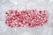 Closeup view of frozen pomegranate seeds in a block of ice — Stock Photo