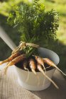 Fresco raccolto giovani carote — Foto stock