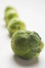 Brussels sprouts in row — Stock Photo