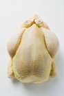 Fresh oven-ready chicken — Stock Photo