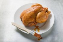 Poulet mariné rôti — Photo de stock