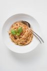Espaguetis con salsa de tomate y albahaca - foto de stock