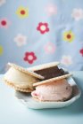 Ice cream sandwiches — Stock Photo