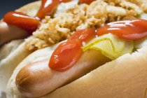 Hot dog con ketchup — Foto stock