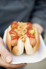 Human Hands holding hot dogs — Stock Photo