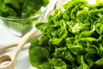 Salat mit grünem Salat — Stockfoto
