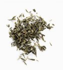 Листя зеленого чаю — Stock Photo