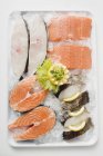 Piezas frescas de salmón y lubina - foto de stock