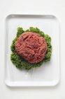Minced beef on parsley — Stock Photo