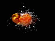 A tomato in hot oil on black background — Stock Photo