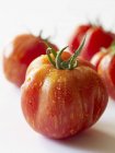Pomodori cimelio appena lavati — Foto stock