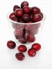Cranberries em tigela de vidro — Fotografia de Stock