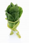 Cos lettuce with tape measure — Stock Photo