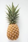 Fresh Ripe Pineapple — Stock Photo