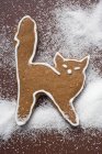 Gingerbread cat on brown — Stock Photo