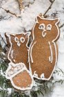 Gingerbread owls and acorn — Stock Photo