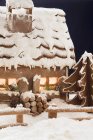 Casa di pan di zenzero con illuminazione — Foto stock