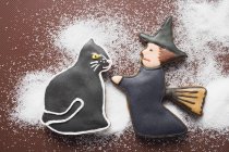 Gingerbread witch and black cat — Stock Photo