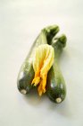 Grüne Zucchini mit Blüte — Stockfoto
