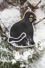 Чорний пряники кішка — стокове фото