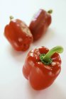 Ripe red bell peppers — Stock Photo
