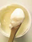 Bio-yoghurt on spoon — Stock Photo