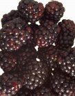 Fresh ripe Blackberries — Stock Photo