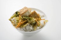 Tofu con verduras fritas - foto de stock