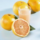 Grapefruit juice with fresh grapefruits — Stock Photo