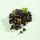 Свежие спелые черные смородины — стоковое фото