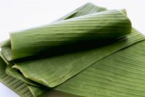Folhas de banana verde — Fotografia de Stock