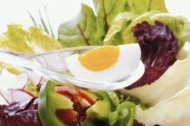 Uovo sodo su cucchiaio di plastica — Foto stock