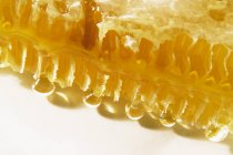 Favo de mel no fundo branco — Fotografia de Stock