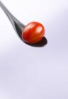Red cocktail tomato on black spoon — Stock Photo