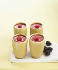 Raspberry and blackberry smoothies — Stock Photo