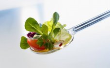 Разнообразные листья салата и томатный клин на салатном сервере — стоковое фото