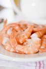 Cooked king prawns on plate — Stock Photo