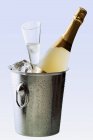 Sparkling wine still life with cooler — Stock Photo