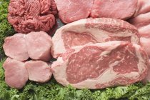 Vários tipos de carne — Fotografia de Stock