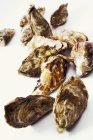 Mehrere Austern, Nahaufnahme — Stockfoto