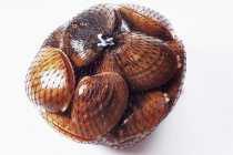Вид крупным планом моллюсков, упакованных в сетку на белой поверхности — стоковое фото